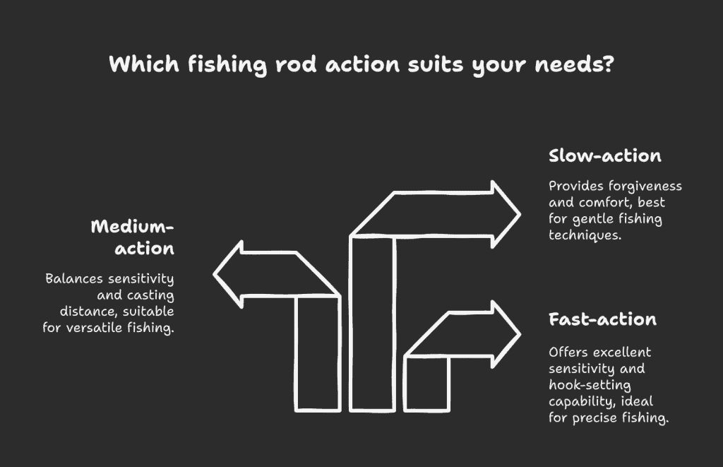 Comparison of fishing rod actions: medium-action for versatility, slow-action for gentle techniques, and fast-action for sensitivity and precision hook sets.