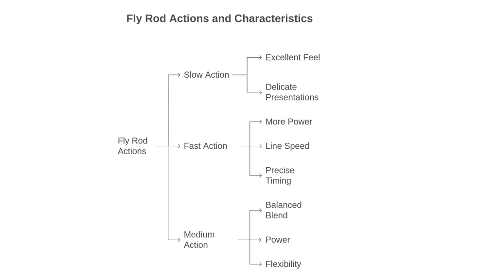 Fly rod action and its characteristics visual 
