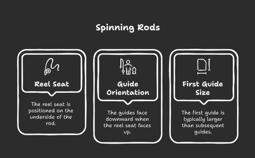 Spinning rod diagram: downward-facing guides and reel seat placement for ergonomic casting and reel attachment.